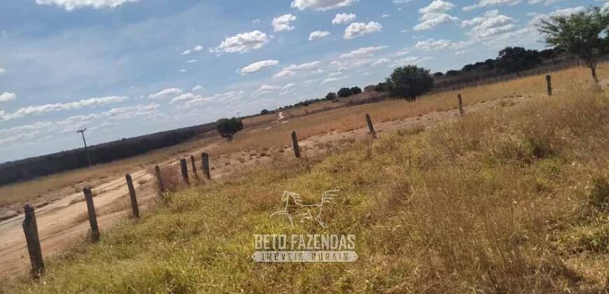 Fazenda de Dupla Aptidão 13.750 hectares | Entre Xique-Xique e Morpará/ BA