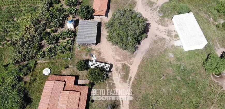 Fazenda de Dupla Aptidão 13.750 hectares | Entre Xique-Xique e Morpará/ BA