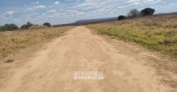 Fazenda de Dupla Aptidão 13.750 hectares | Entre Xique-Xique e Morpará/ BA