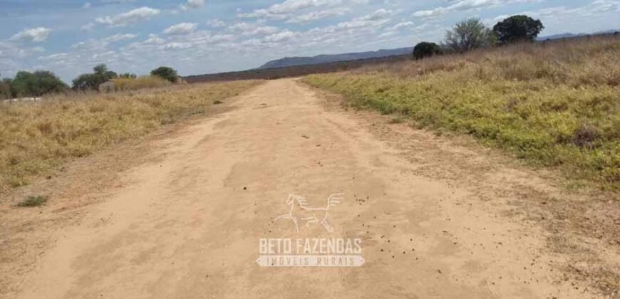 Fazenda de Dupla Aptidão 13.750 hectares | Entre Xique-Xique e Morpará/ BA