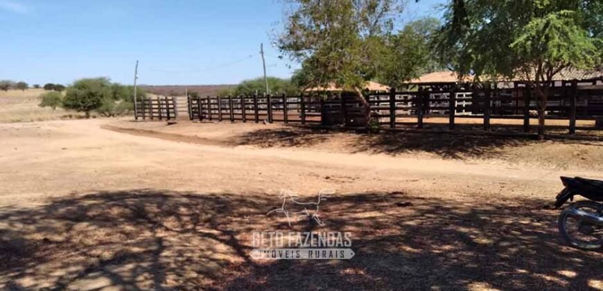 Fazenda de Dupla Aptidão 13.750 hectares | Entre Xique-Xique e Morpará/ BA