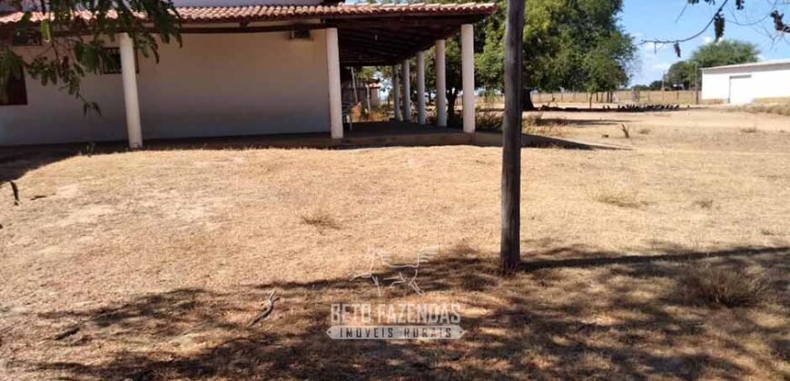 Fazenda de Dupla Aptidão 13.750 hectares | Entre Xique-Xique e Morpará/ BA