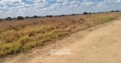 Fazenda de Dupla Aptidão 13.750 hectares | Entre Xique-Xique e Morpará/ BA