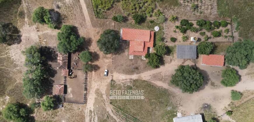 Fazenda de Dupla Aptidão 13.750 hectares | Entre Xique-Xique e Morpará/ BA