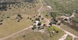 Fazenda de Dupla Aptidão 13.750 hectares | Entre Xique-Xique e Morpará/ BA