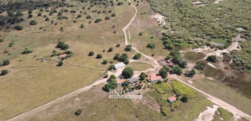 Fazenda de Dupla Aptidão 13.750 hectares | Entre Xique-Xique e Morpará/ BA