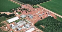 Para Investidores: Fazenda 26.000 hectares de Alta Produtividade | Nova Mutum/ MT