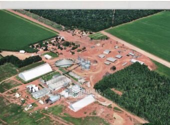 Para Investidores: Fazenda 26.000 hectares de Alta Produtividade | Nova Mutum/ MT