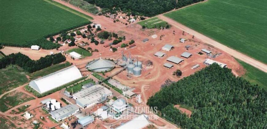 Para Investidores: Fazenda 26.000 hectares de Alta Produtividade | Nova Mutum/ MT
