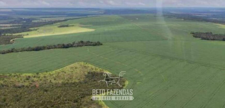 Para Investidores: Fazenda 26.000 hectares de Alta Produtividade | Nova Mutum/ MT
