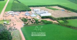Para Investidores: Fazenda 26.000 hectares de Alta Produtividade | Nova Mutum/ MT