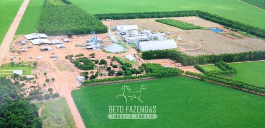 Para Investidores: Fazenda 26.000 hectares de Alta Produtividade | Nova Mutum/ MT
