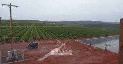 Fazenda de Café 2.929 hectares com Alta Tecnologia | Lassance – MG Fazenda de Café 2.929 hectares com Alta Tecnologia | Lassance – MG