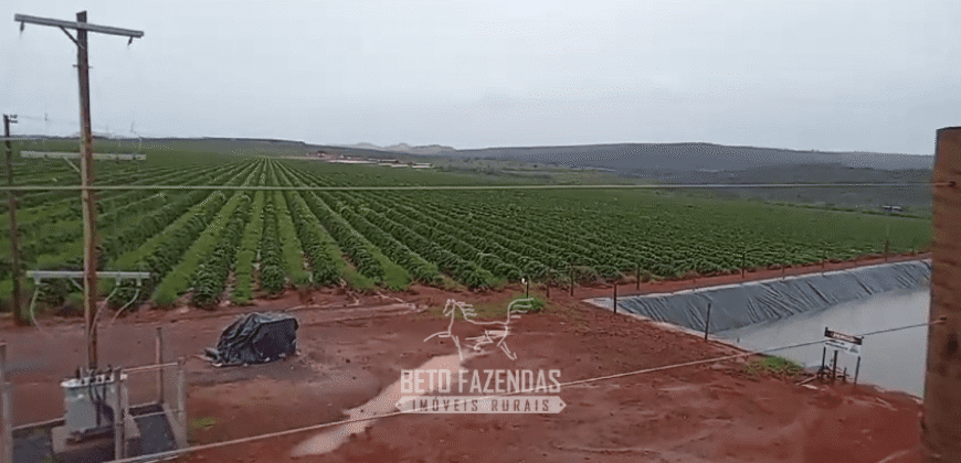 Fazenda de Café 2.929 hectares com Alta Tecnologia | Lassance – MG Fazenda de Café 2.929 hectares com Alta Tecnologia | Lassance – MG