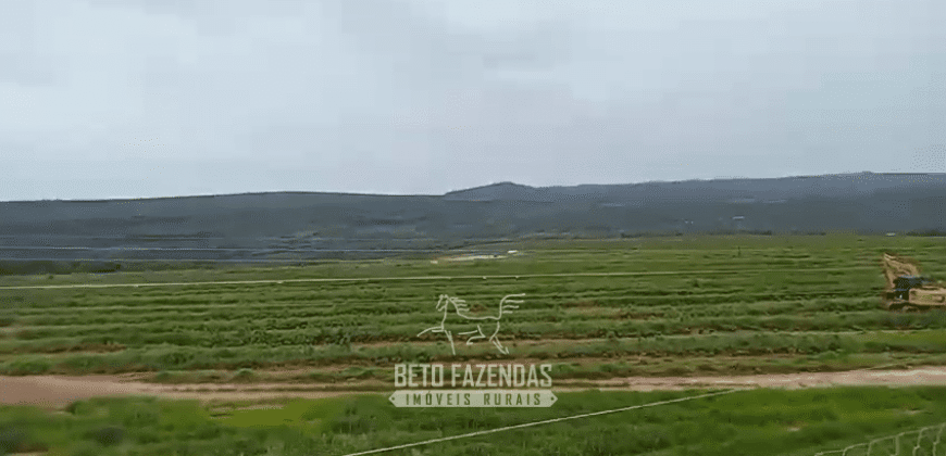 Fazenda de Café 2.929 hectares com Alta Tecnologia | Lassance – MG Fazenda de Café 2.929 hectares com Alta Tecnologia | Lassance – MG