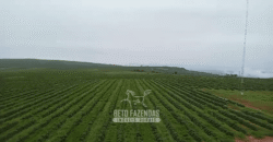 Fazenda de Café 2.929 hectares com Alta Tecnologia | Lassance – MG Fazenda de Café 2.929 hectares com Alta Tecnologia | Lassance – MG