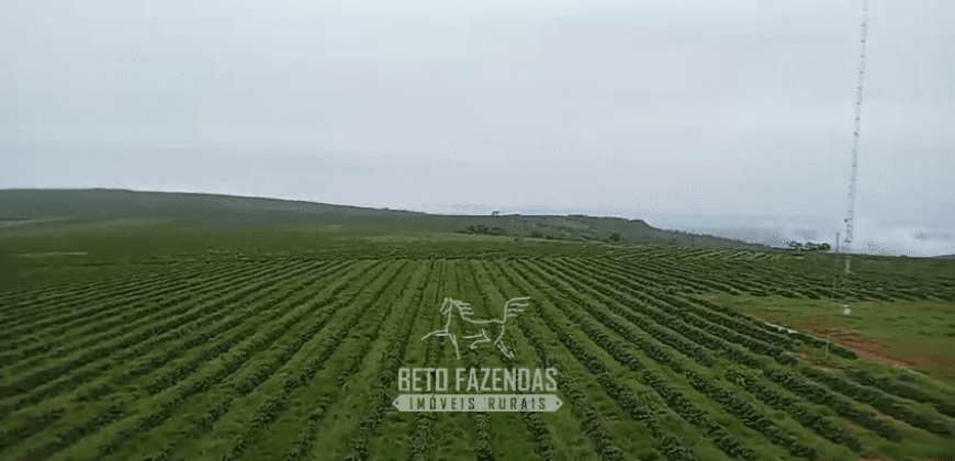 Fazenda de Café 2.929 hectares com Alta Tecnologia | Lassance – MG Fazenda de Café 2.929 hectares com Alta Tecnologia | Lassance – MG