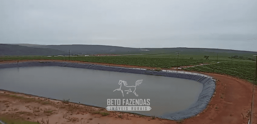 Fazenda de Café 2.929 hectares com Alta Tecnologia | Lassance – MG Fazenda de Café 2.929 hectares com Alta Tecnologia | Lassance – MG