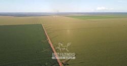 Fazenda à Venda de Grande Porte Infraestrutura Pronta para Soja | Carolina/ MA