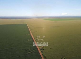 Fazenda à Venda de Grande Porte Infraestrutura Pronta para Soja | Carolina/ MA