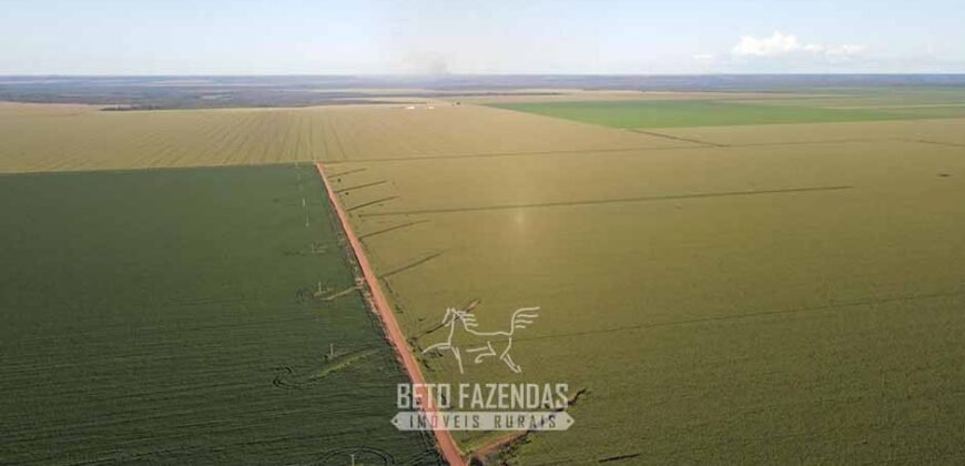 Fazenda à Venda de Grande Porte Infraestrutura Pronta para Soja | Carolina/ MA