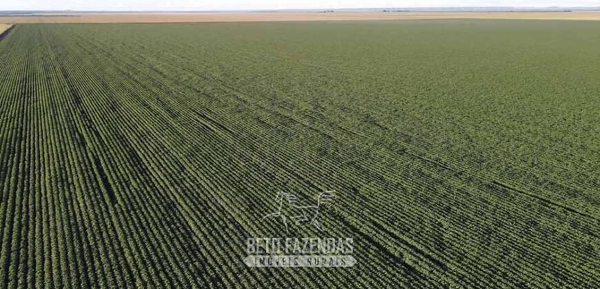 Fazenda à Venda de Grande Porte Infraestrutura Pronta para Soja | Carolina/ MA