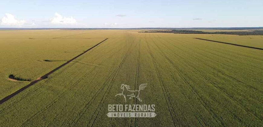 Fazenda à Venda de Grande Porte Infraestrutura Pronta para Soja | Carolina/ MA