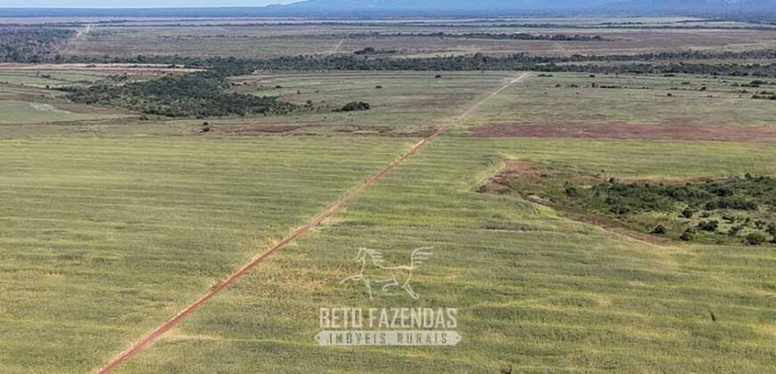 Fazenda à Venda Potencial de Expansão na Lavoura com Armazenamento  | Confresa/ MT –
