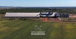 Fazenda à Venda Potencial de Expansão na Lavoura com Armazenamento  | Confresa/ MT –
