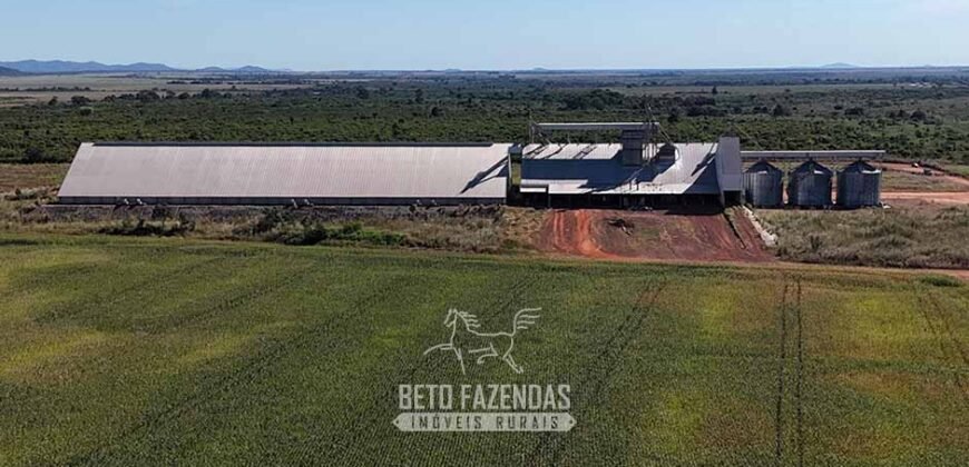 Fazenda à Venda Potencial de Expansão na Lavoura com Armazenamento  | Confresa/ MT –