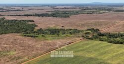 Fazenda à Venda Potencial de Expansão na Lavoura com Armazenamento  | Confresa/ MT –