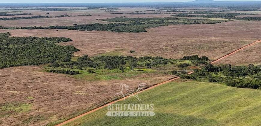Fazenda à Venda Potencial de Expansão na Lavoura com Armazenamento  | Confresa/ MT –