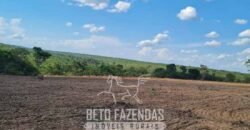 Fazenda de Dupla Aptidão 6.320 has Infraestrutura Completa e Reflorestamento | Unaí/ MG
