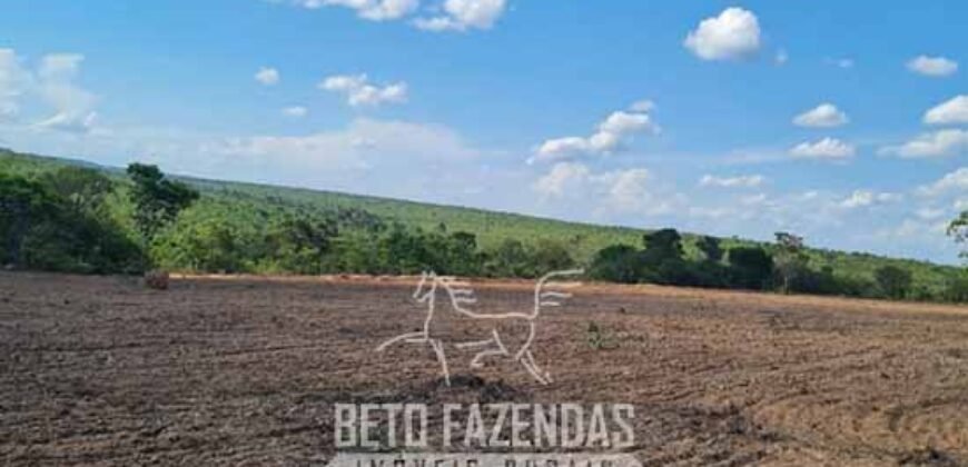 Fazenda de Dupla Aptidão 6.320 has Infraestrutura Completa e Reflorestamento | Unaí/ MG