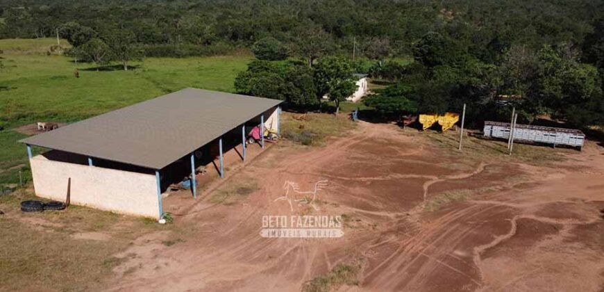 Fazenda de Dupla Aptidão 6.320 has Infraestrutura Completa e Reflorestamento | Unaí/ MG
