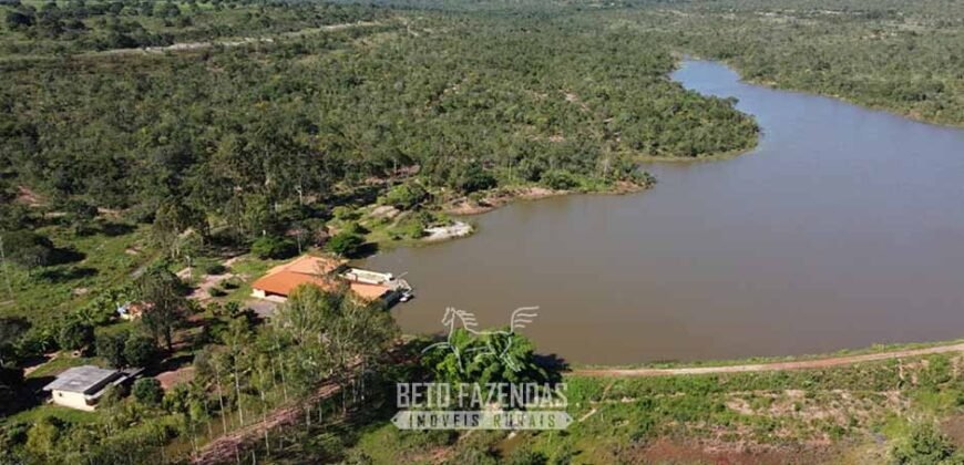 Fazenda de Dupla Aptidão 6.320 has Infraestrutura Completa e Reflorestamento | Unaí/ MG