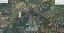 Fazenda de Dupla Aptidão 6.320 has Infraestrutura Completa e Reflorestamento | Unaí/ MG