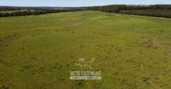 Fazenda de Dupla Aptidão 6.320 has Infraestrutura Completa e Reflorestamento | Unaí/ MG