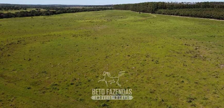 Fazenda de Dupla Aptidão 6.320 has Infraestrutura Completa e Reflorestamento | Unaí/ MG