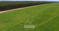 Fazenda de Dupla Aptidão 6.320 has Infraestrutura Completa e Reflorestamento | Unaí/ MG