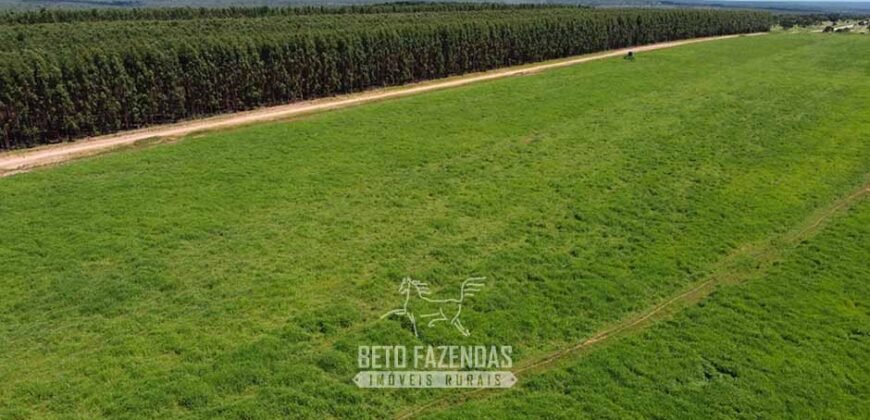 Fazenda de Dupla Aptidão 6.320 has Infraestrutura Completa e Reflorestamento | Unaí/ MG