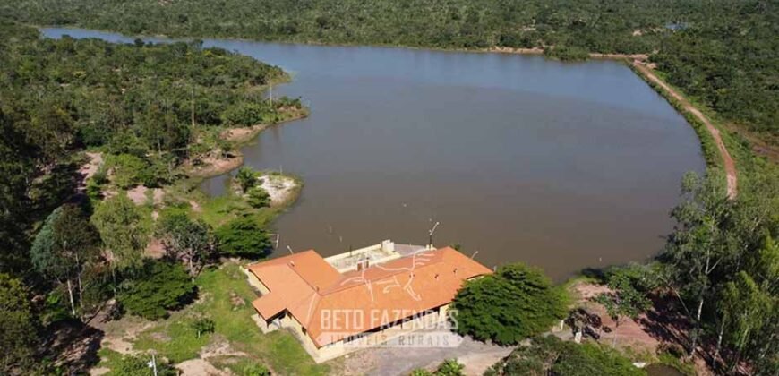 Fazenda de Dupla Aptidão 6.320 has Infraestrutura Completa e Reflorestamento | Unaí/ MG