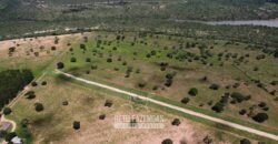 Fazenda de Dupla Aptidão 6.320 has Infraestrutura Completa e Reflorestamento | Unaí/ MG