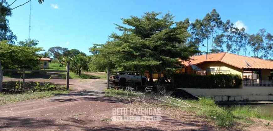 Fazenda de Dupla Aptidão 6.320 has Infraestrutura Completa e Reflorestamento | Unaí/ MG