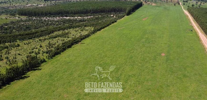 Fazenda de Dupla Aptidão 6.320 has Infraestrutura Completa e Reflorestamento | Unaí/ MG