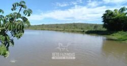 Fazenda de Dupla Aptidão 6.320 has Infraestrutura Completa e Reflorestamento | Unaí/ MG