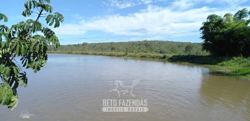 Fazenda de Dupla Aptidão 6.320 has Infraestrutura Completa e Reflorestamento | Unaí/ MG