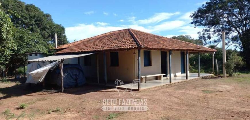 Fazenda de Dupla Aptidão 6.320 has Infraestrutura Completa e Reflorestamento | Unaí/ MG