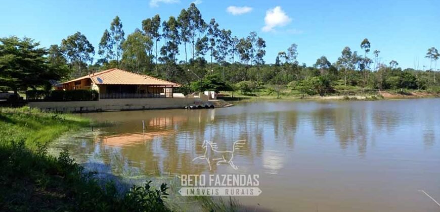 Fazenda de Dupla Aptidão 6.320 has Infraestrutura Completa e Reflorestamento | Unaí/ MG
