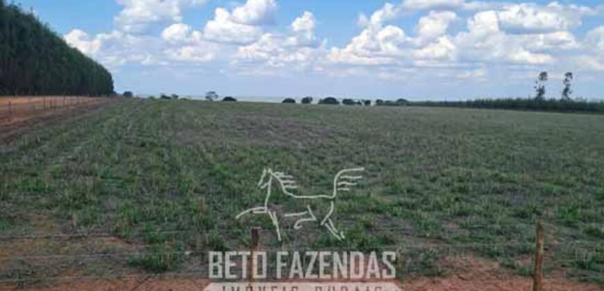 Fazenda de Dupla Aptidão 6.320 has Infraestrutura Completa e Reflorestamento | Unaí/ MG